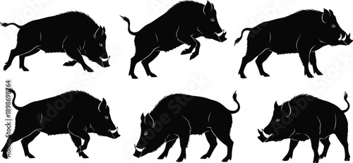 Six black silhouette wild boars in various poses on white background animal wildlife