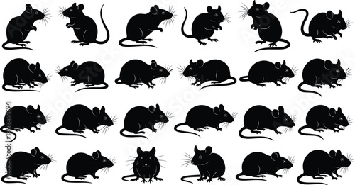 Rat silhouettes collection, black mouse poses, rodent animals set isolated on white background, pest wildlife illustration