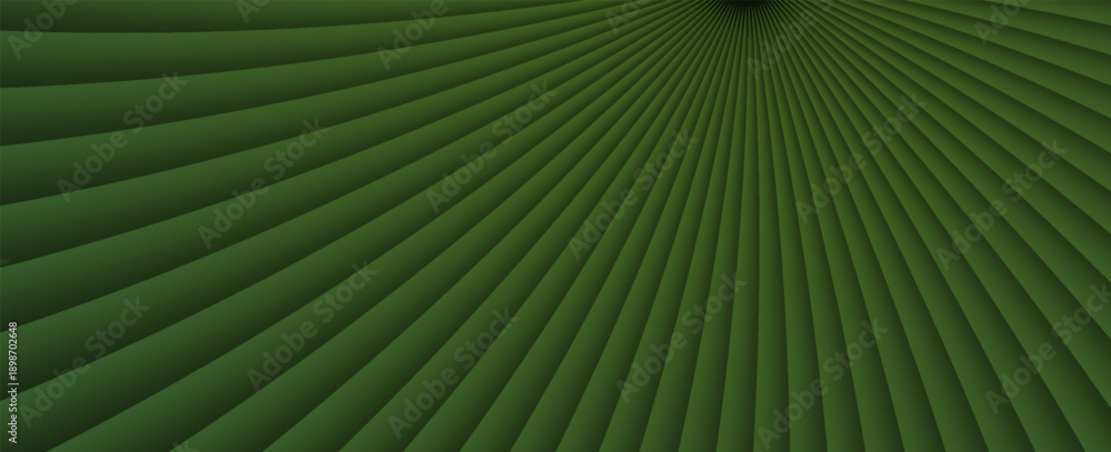 Obraz premium natural tropical green leaf palm leaf texture close up. vector