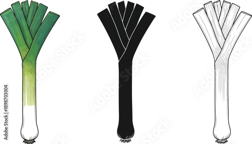 Leek vegetable presented in full color, solid black silhouette, and clean line art versions for culinary design projects.