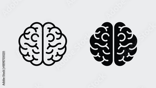 Two distinct brain illustrations showing the complexity of the human mind isolated on white background, Vector, illustration