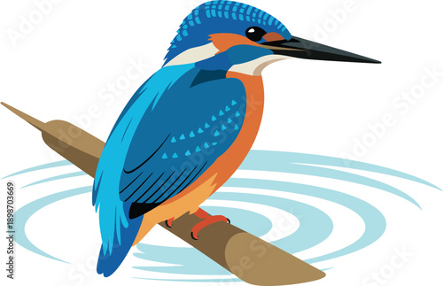 Vibrant kingfisher bird perched on branch over calm water with circular ripples background