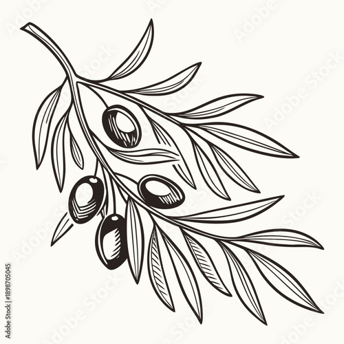 Flat Hand-Drawn Olive Branches Pattern