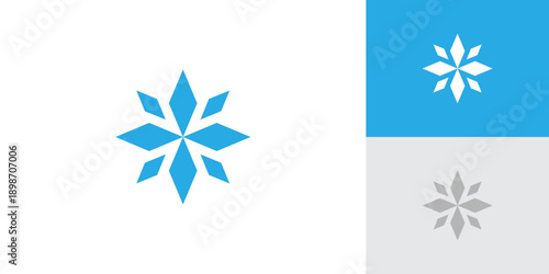 Snowflake Logo with Creative Concept Idea Vector Design