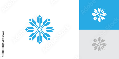 Snowflake Logo with Creative Concept Idea Vector Design