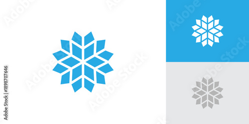 Snowflake Logo with Creative Concept Idea Vector Design