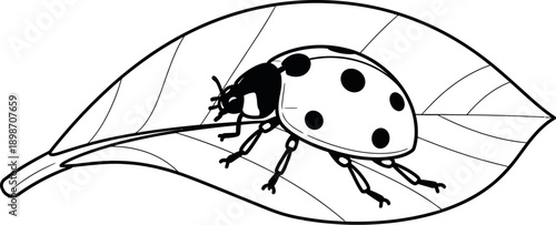 Simple black and white coloring page illustration depicts a spotted ladybug insect resting peacefully upon the curved outline of a large garden leaf suitable for children's activities.