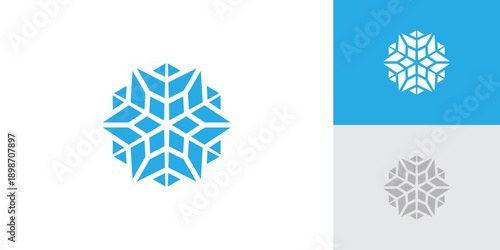 Snowflake Logo with Creative Concept Idea Vector Design