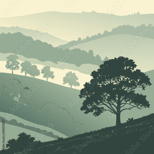 Low contrast fog layers between hills in atmospheric landscape