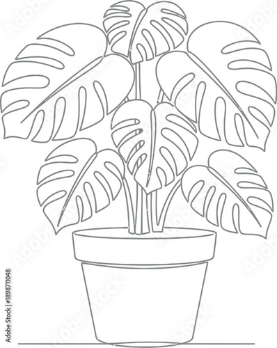 Minimalist one line drawing depicting a beautiful monstera deliciosa houseplant growing vibrantly inside a simple round flower pot against a clean white background canvas