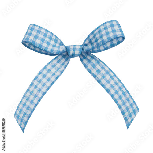 PNG Blue checkered decorative bow