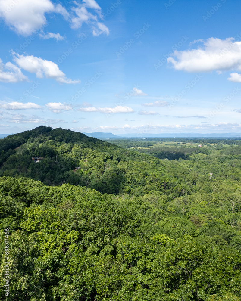 Fototapeta premium Summer in the Blue Ridge