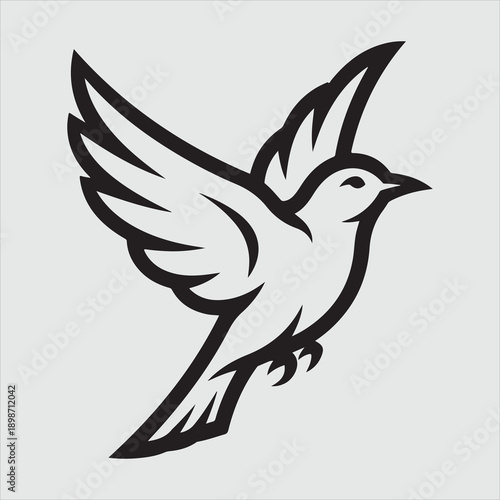 Beautiful bird vector design