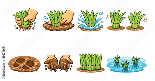 Steps for planting and growing grass with illustrated guide