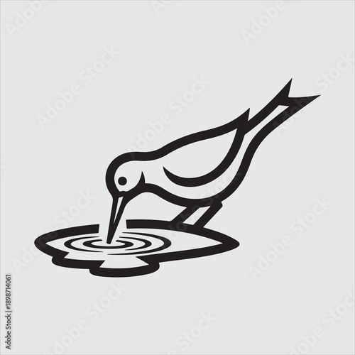 Beautiful bird vector design