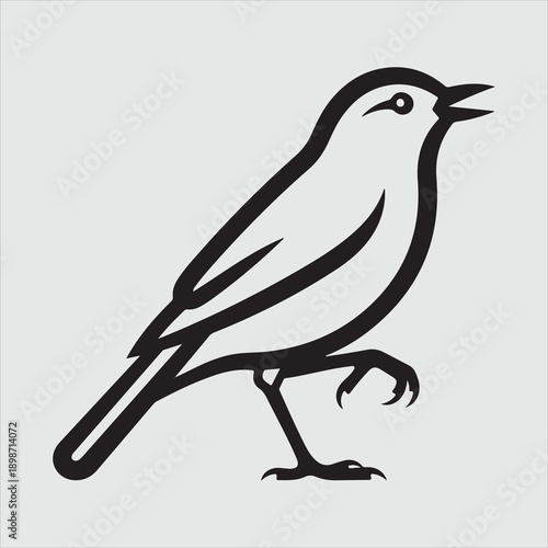 Beautiful bird vector design