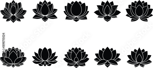 Black stork silhouette set, standing and flying migratory birds, wading crane silhouettes in different poses, wild water bird collection for nature and wildlife design, isolated.