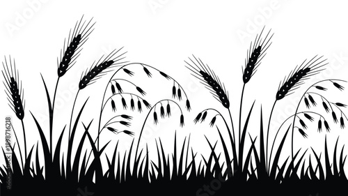 A detailed black and white illustration depicting a field of wheat and grasses