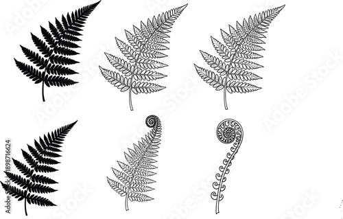 Collection of vector fern leaf silhouettes featuring intricate fronds and fiddlehead spirals, black botanical nature illustrations isolated on white background for design