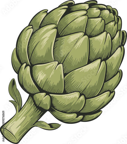 A detailed illustration of a single vibrant green artichoke vegetable
