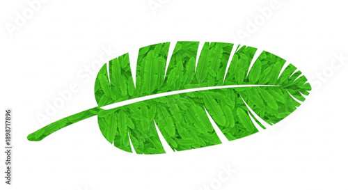 Vibrant green tropical leaf with textured surface