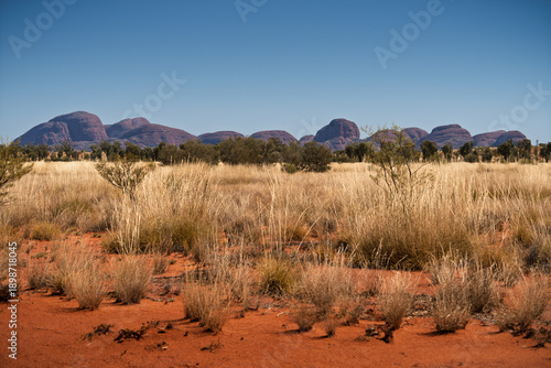 Desert landscape and rock formations at Kata Tjuta, Australia