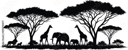 Vector illustration of African savanna landscape with black silhouettes of acacia trees, elephants, giraffes and lions, isolated on white background for safari design