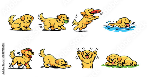 Playful golden retriever engaging in various fun activities and poses