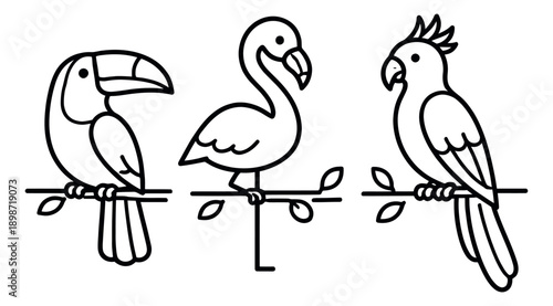 Simple line art tropical birds set featuring a toucan, a flamingo, and a cockatoo for exotic nature themes