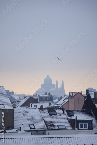 Snowy Brussels