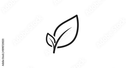 Simple Line Drawing of Two Leaves.