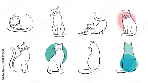Collection of cute cat sketches showing different poses and movements with minimal abstract color accents in the background.
