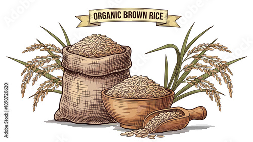 Organic brown rice illustration featuring a burlap sack, a wooden bowl, a scoop, and stalks of mature rice grain for healthy diet.