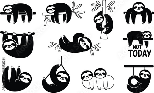 Black and white sloth in various poses sloths hanging smiling relaxed