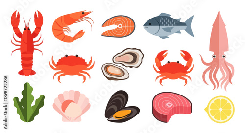 Seafood assortment on white background