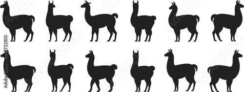 Black silhouettes of llamas in various poses on white background animals