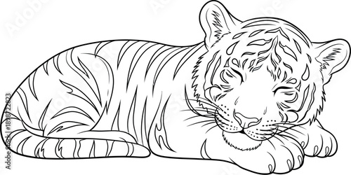 Adorable black and white line art illustration depicting a sweet baby tiger cub peacefully resting with closed eyes curled up comfortably on a plain background ready for coloring activities.