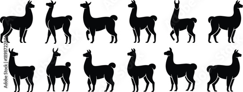 Black silhouettes of llamas in various poses white background animals 1