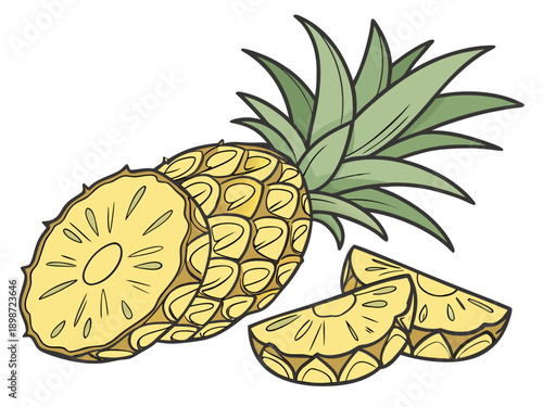 pineapple vector illustration