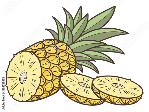 vector illustration of pineapple
