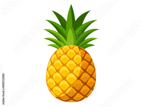 pineapple on white background