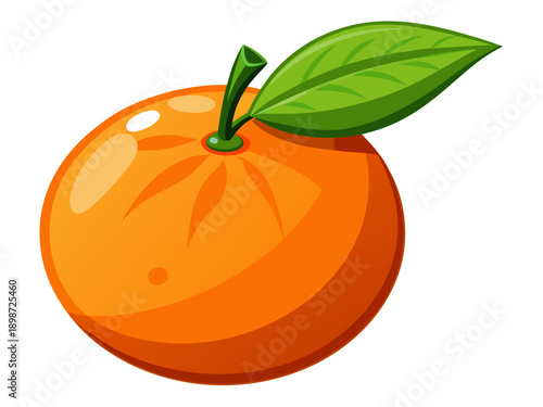 orange fruit vector illustration