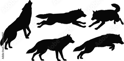 Black wolf silhouettes howling running jumping standing on white background howling wolf
