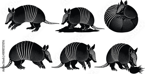 Six black and white armadillo in various poses animal wildlife silhouette