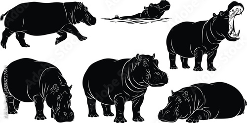 Six black hippopotamus silhouettes in various poses on white background animal wildlife