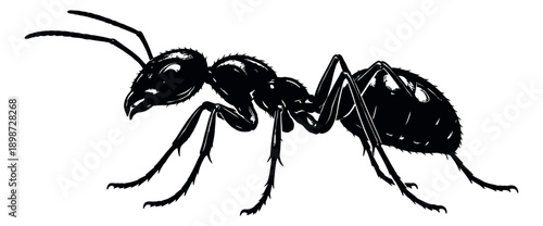 Hand drawn illustration of an ant depicting its side profile for nature and insect-related designs