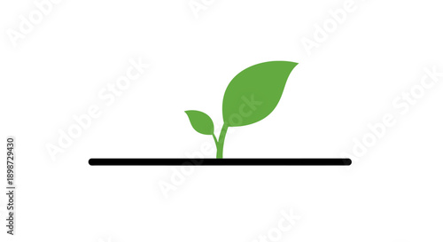 Green plant sprout growing upwards.