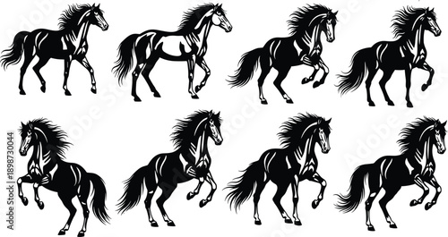 Black horse silhouettes galloping and rearing vector set, mustang stallion equine figures in various poses, wild animal elements isolated on white background