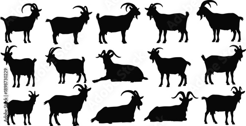 Set of black goat silhouettes in different poses isolated on white background, farm animal livestock illustration collection for agriculture, farming, branding, and design use
