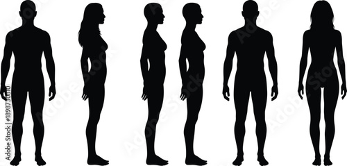 Human body silhouette set, showing male and female figures, front side views, anatomy reference, flat black vector, isolated white background, design illustration medical stock